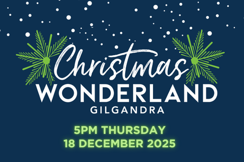 A Christmas Wonderland