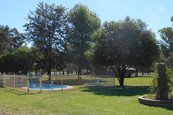 Gilgandra Caravan Park