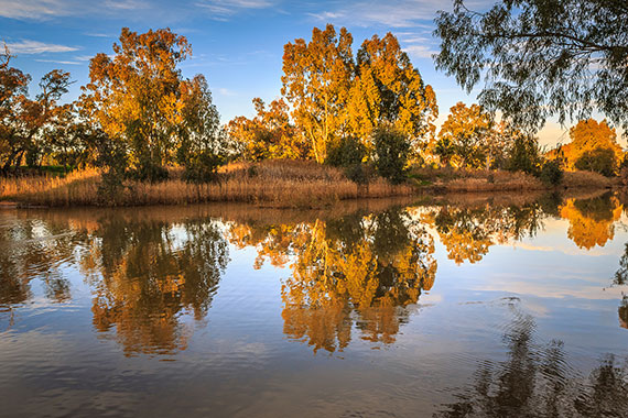 Gilgandra Farm at Sunset